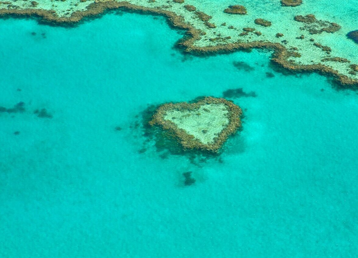 Bild vom Great Barrier Reaf
